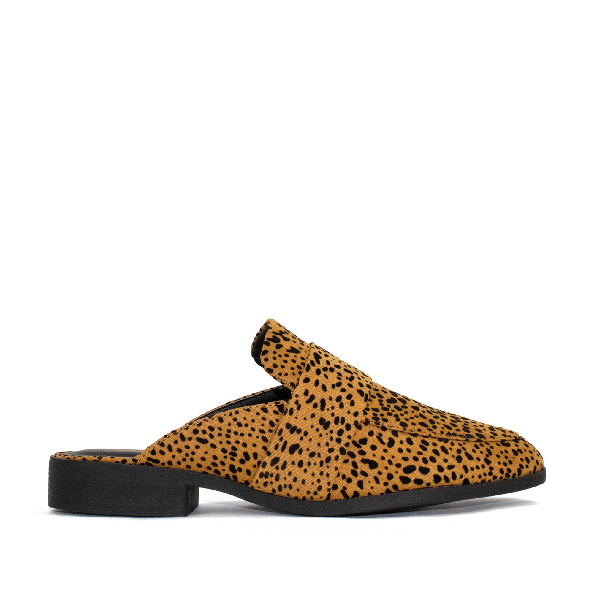 LARA - LEOPARD